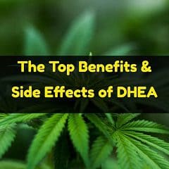 7 keto Dhea Supplements – Honest Reviews – Side Effects & Benefits