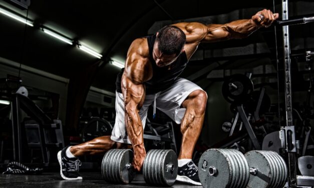 Bodybuilding Supplements