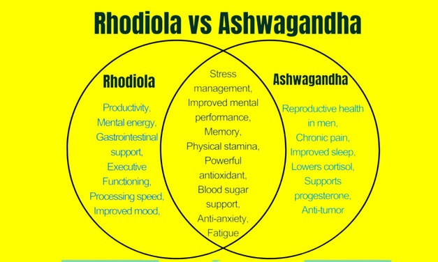 Ashwagandha vs Rhodiola: Comparison for Anxiety Reviews!