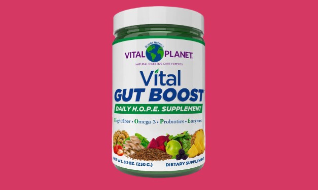 Vital Gut Boost Ingredients and Reviews
